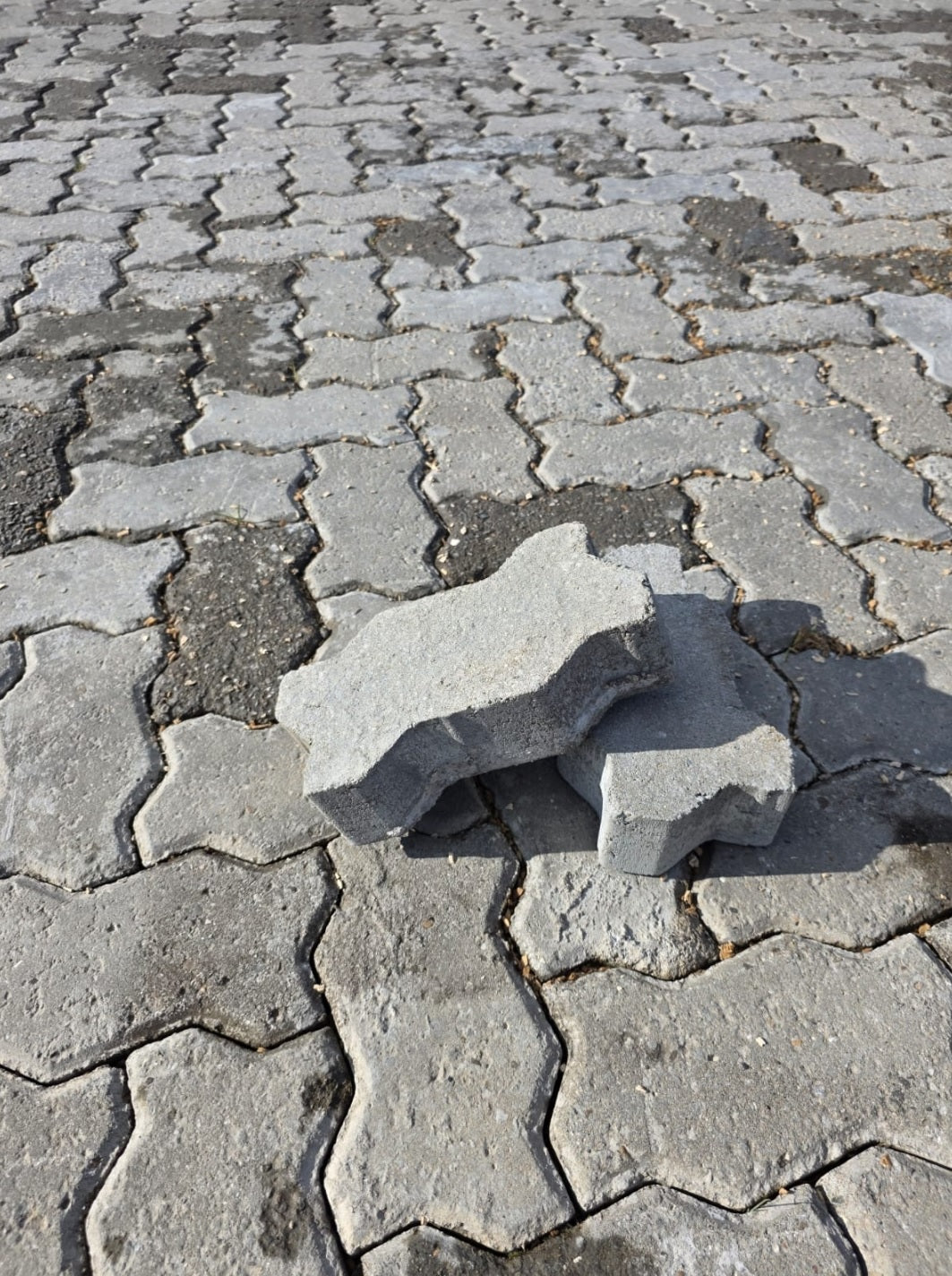 ADOQUINES PSQ6 ESPESOR 6 CM.