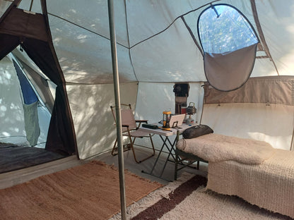 Carpa americana estilo Glamping